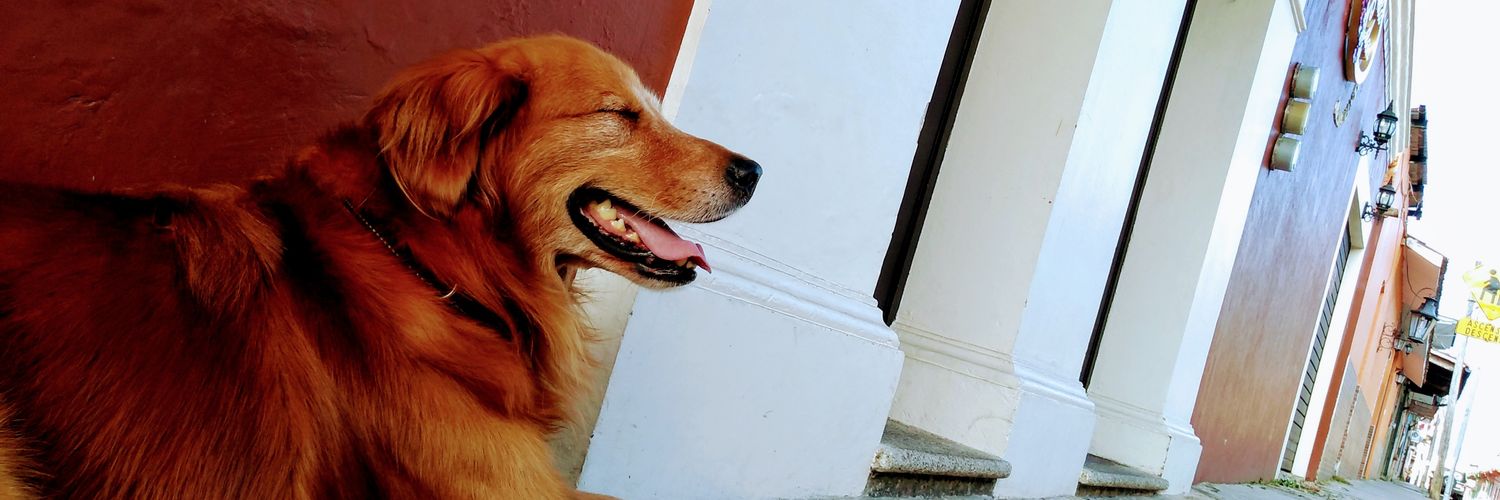 iCrisGL's profile banner image
