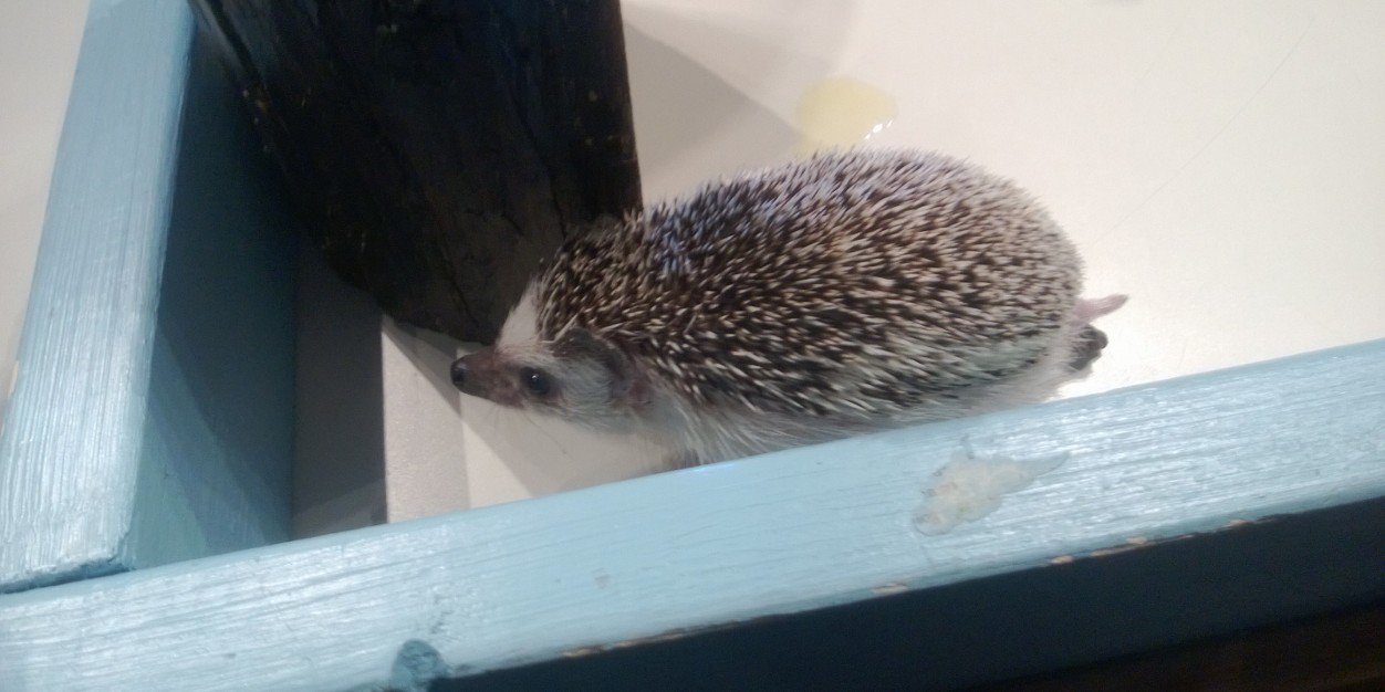 MARC in a (Less) Cold Climate banner