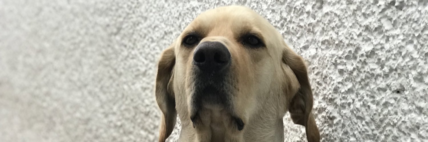 BelemPonceM's profile banner image