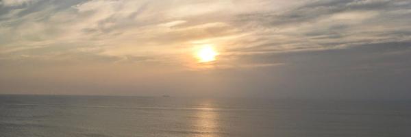 pmchoi Profile Banner