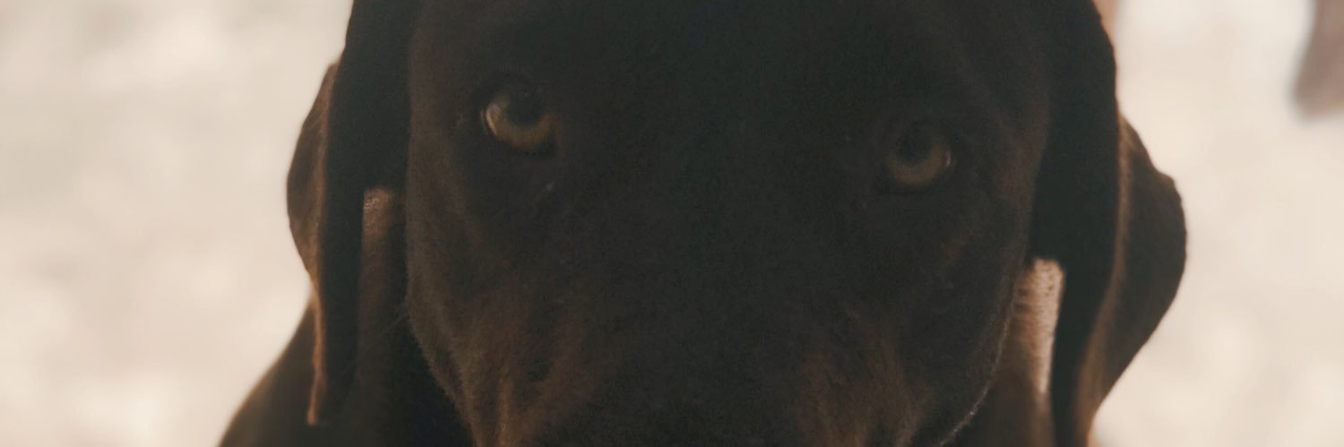 agusssnavarro's profile banner image