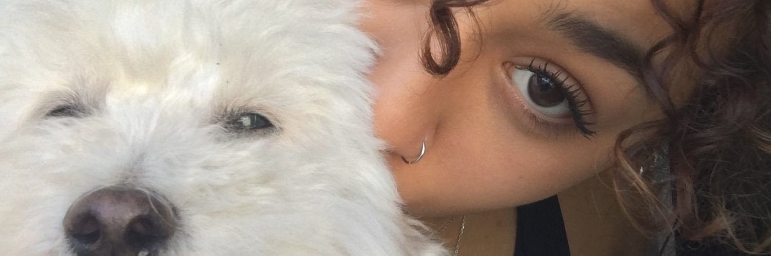 lulavaarela's profile banner image