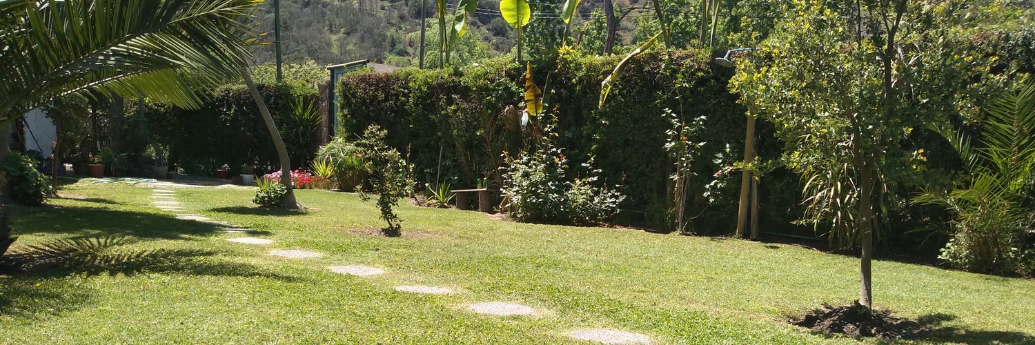 eduohiggins's profile banner image