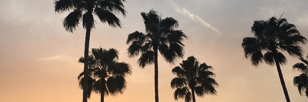 _emiliewolf_'s profile banner image