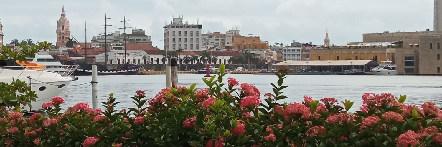 peki1503's profile banner image