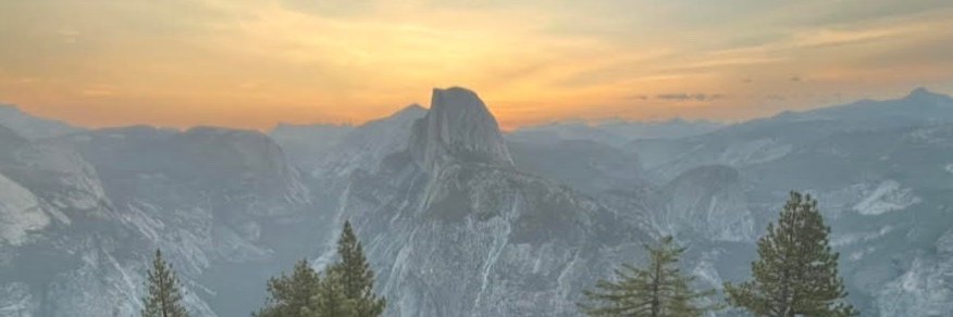 Michaela Mendes banner