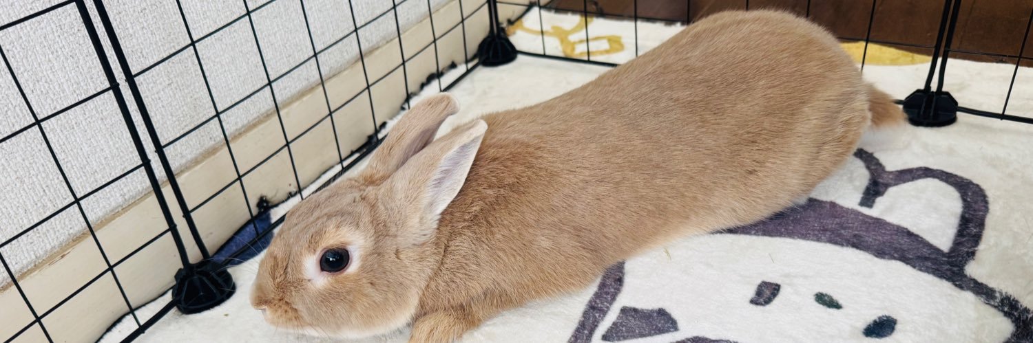 たくのすけ banner