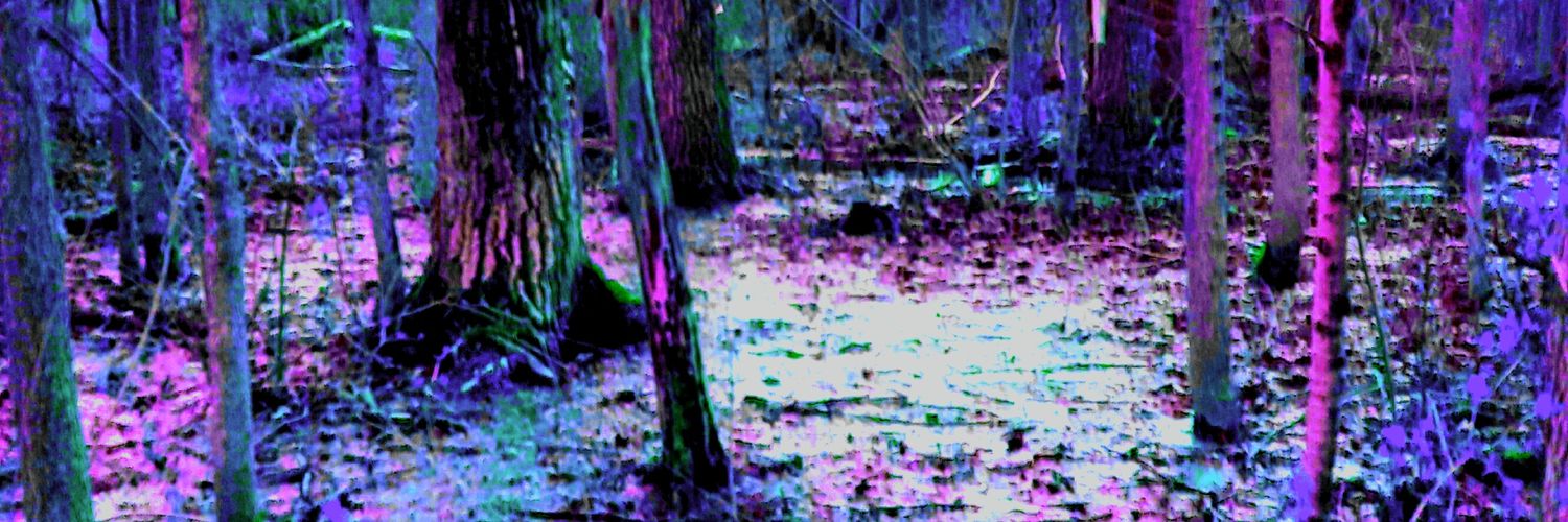 FqttyJ's profile banner image