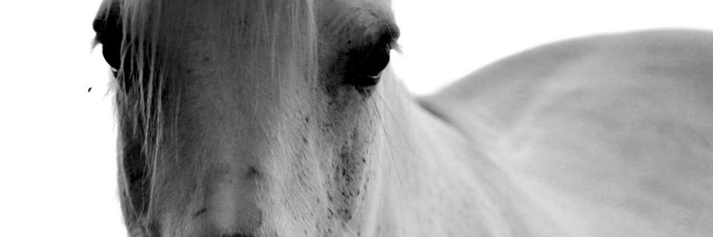 rubaaj9's profile banner image
