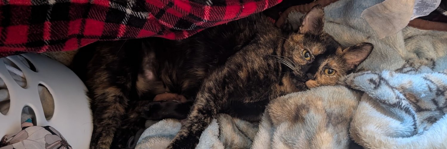 KatelynKbear98's profile banner image