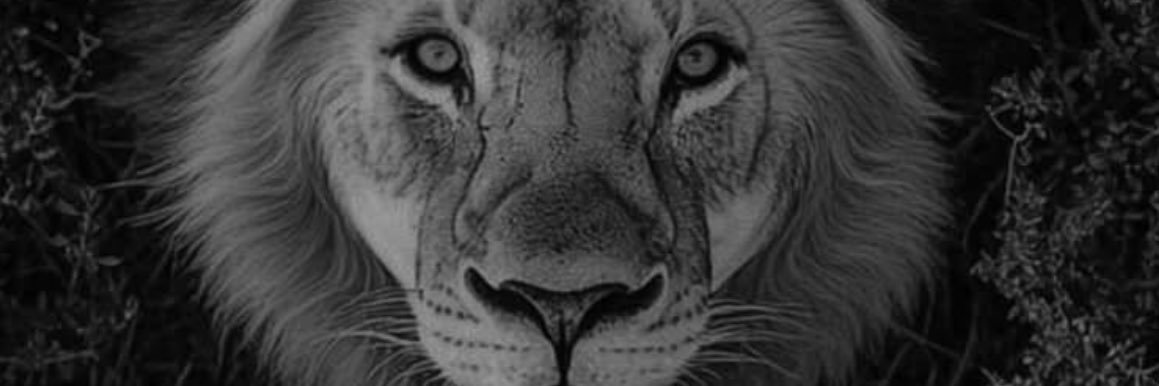 tricky_d1980's profile banner image