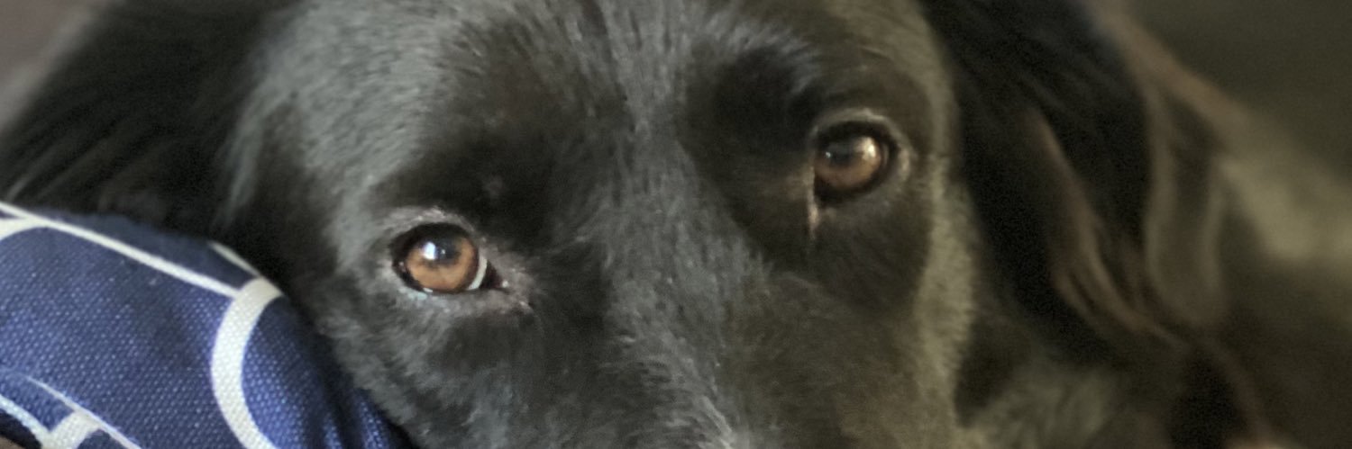 VincentCosta's profile banner image