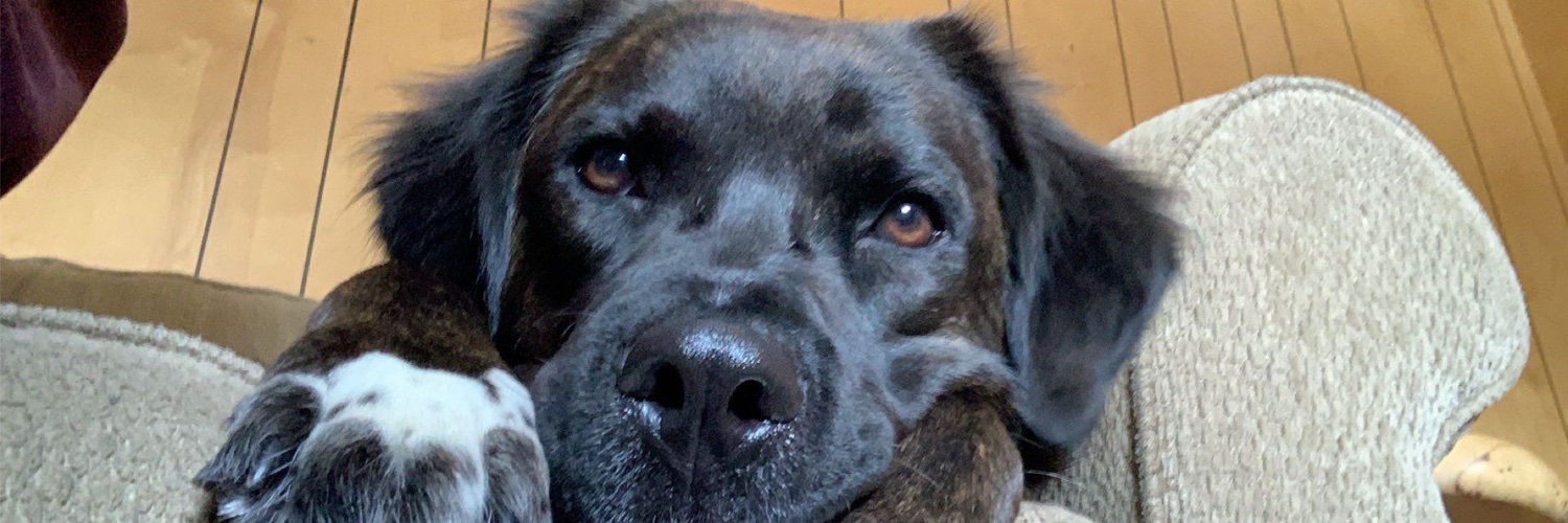 delaney1112's profile banner image