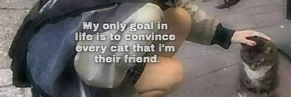 cotasos Profile Banner