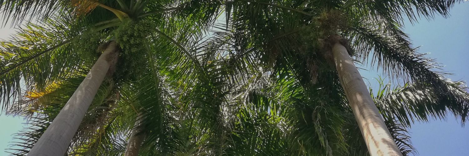 valepech_'s profile banner image