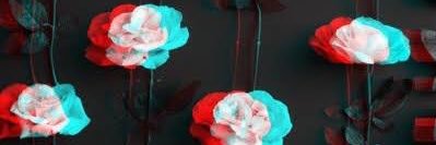 tonelli_pedro's profile banner image