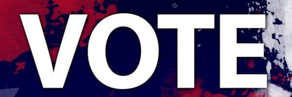 VotingMattersMN's profile banner image