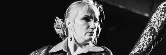 dorothyschmidt's profile banner image