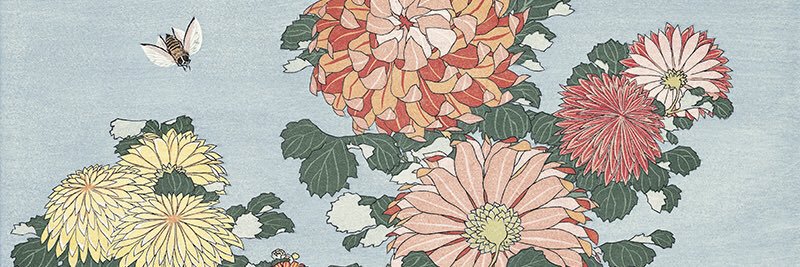 chikaccounts's profile banner image