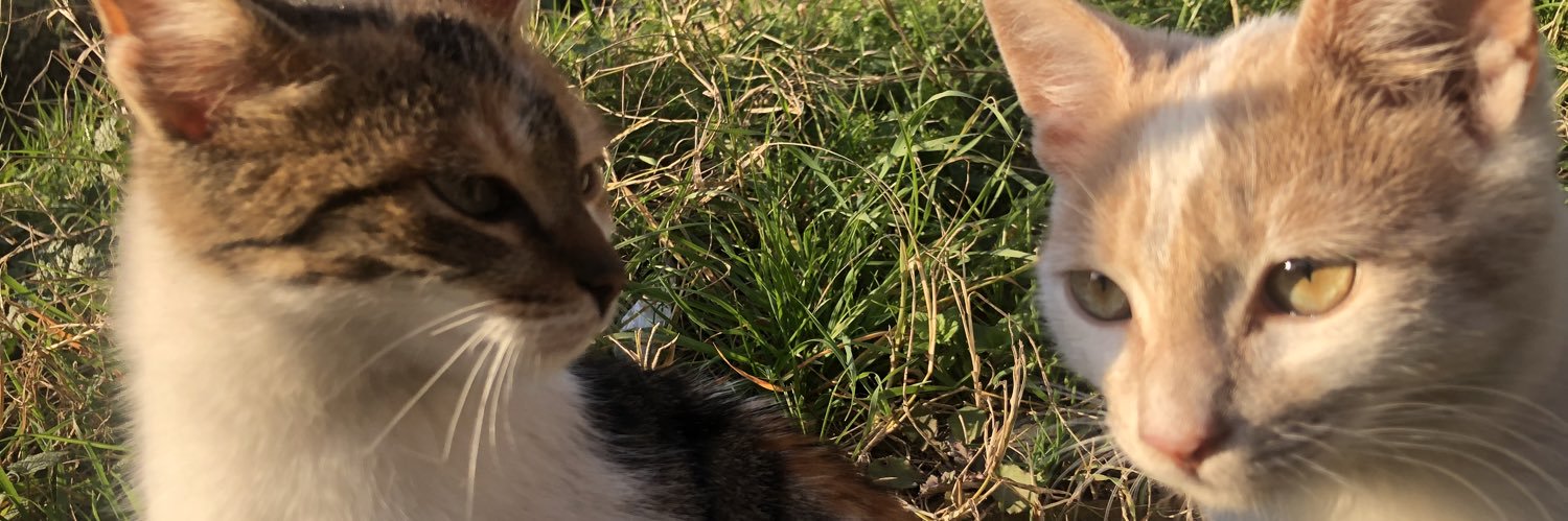 kaderkrkk's profile banner image