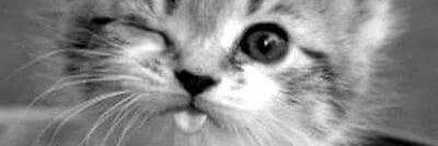 2_mabrouka's profile banner image