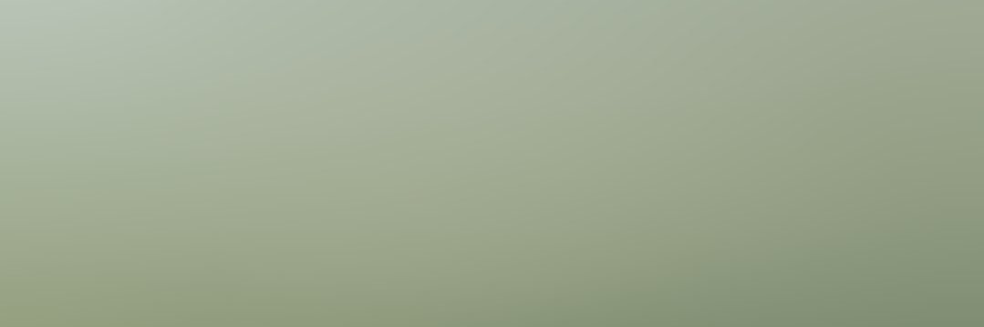 Alex Le's banner