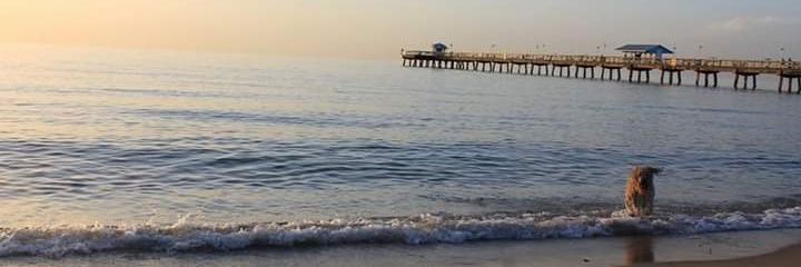 lorena_valenz's profile banner image