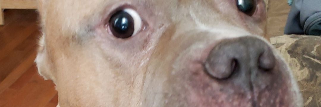 jamesvoicefly5's profile banner image