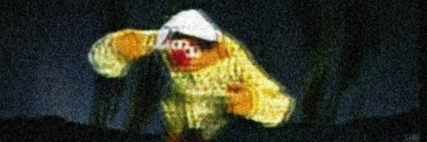 ahedgewizard's profile banner image
