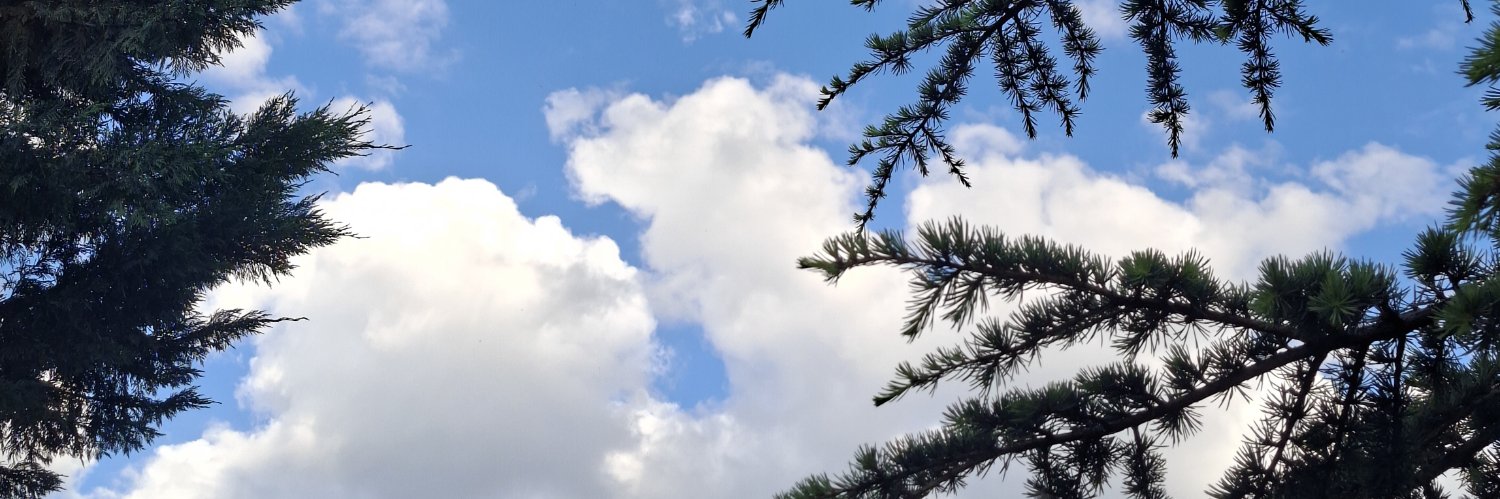 lumiva_'s profile banner image