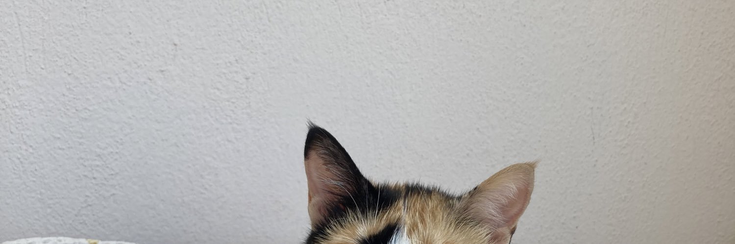 tuceyxx's profile banner image