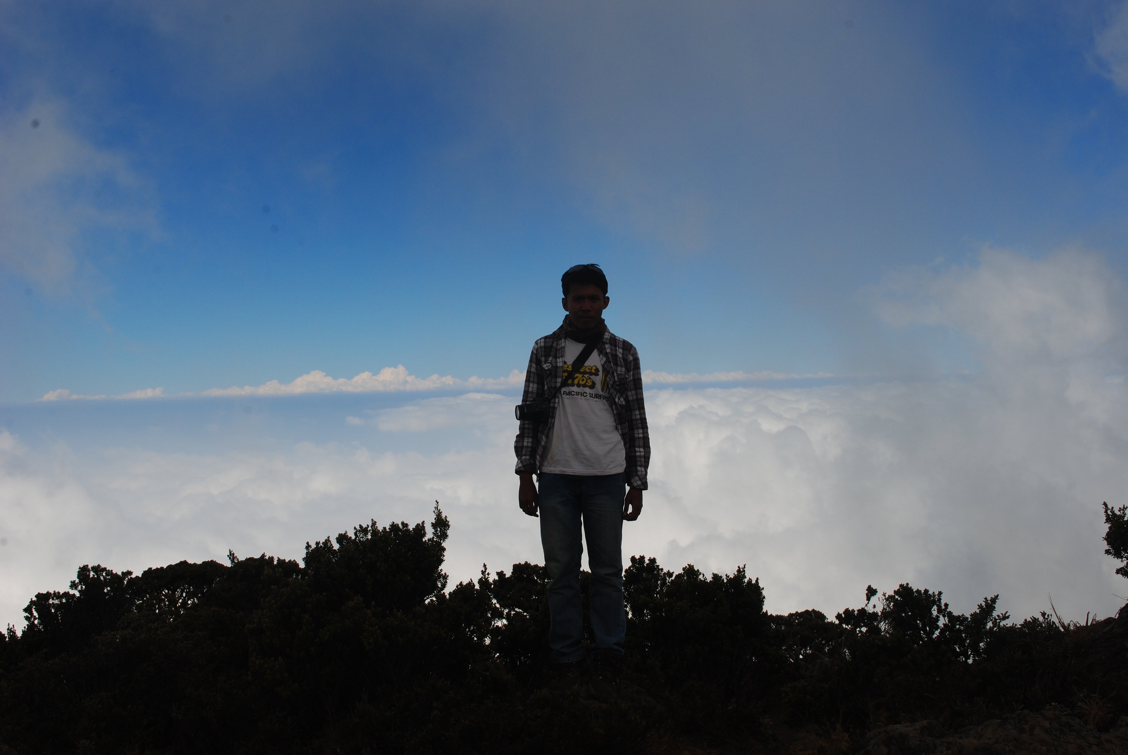 Jelmaan Manusia banner