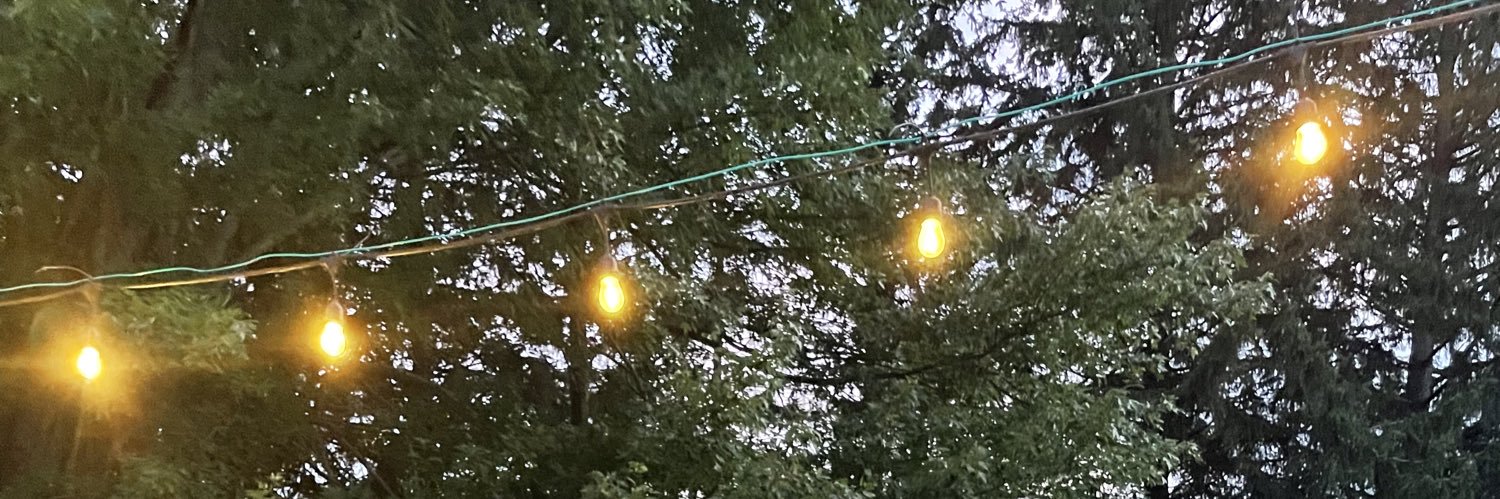 Pablo Matthews banner