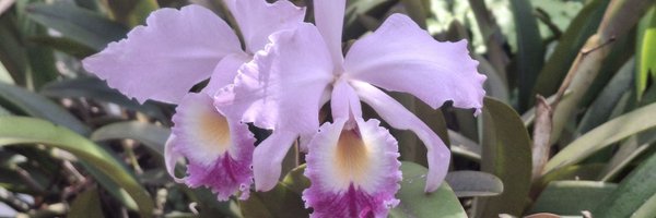 jrodriguez_q Profile Banner