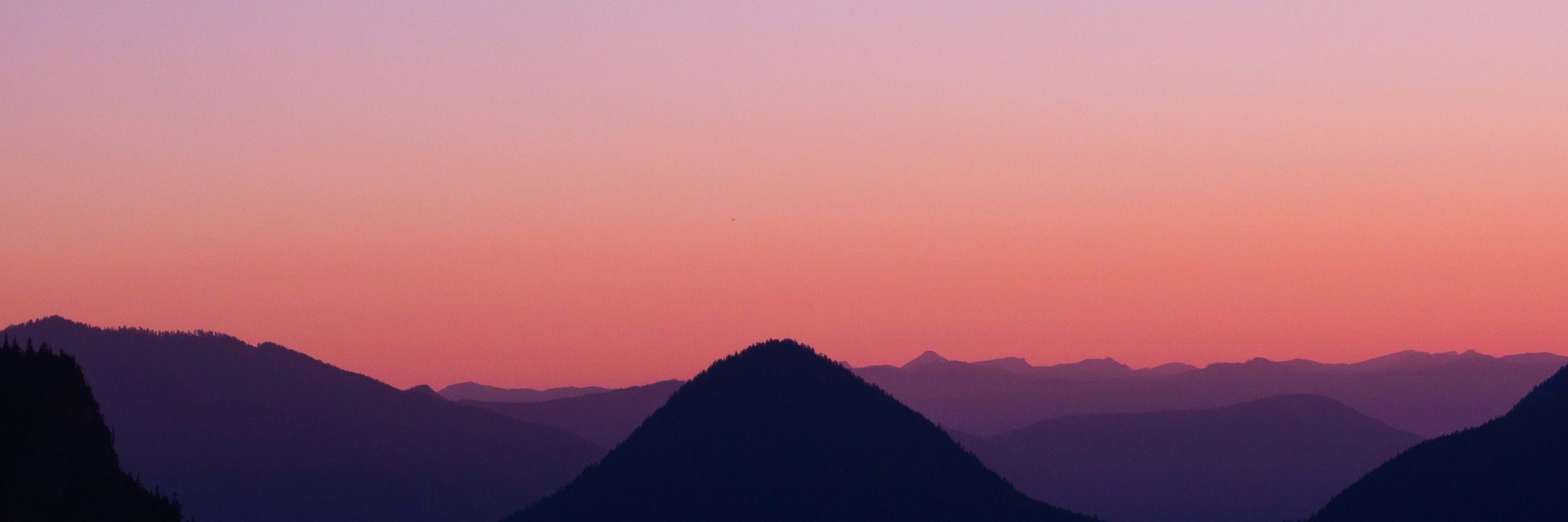 dalinwilliams's profile banner image