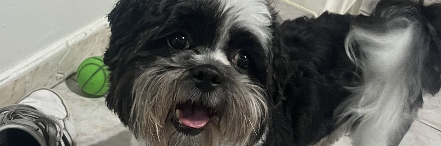 Chezzarr's profile banner image