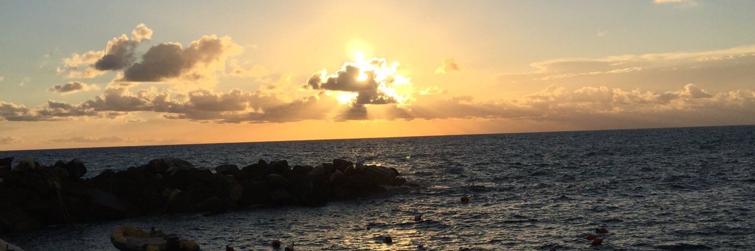 AnthonyASteil's profile banner image