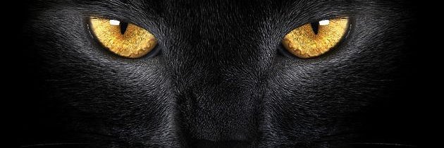 fightingforbr's profile banner image