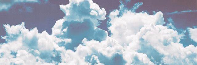 samvong_'s profile banner image