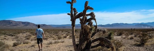 AngelBeil Profile Banner