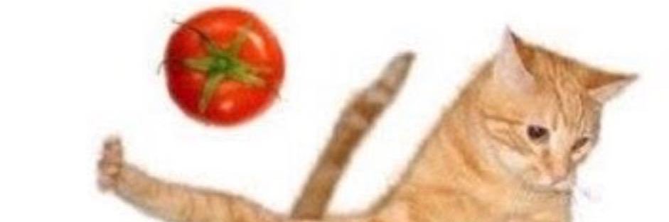 bea banner