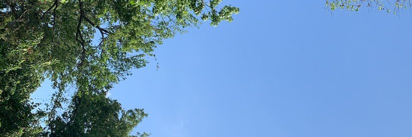 blaked1100's profile banner image