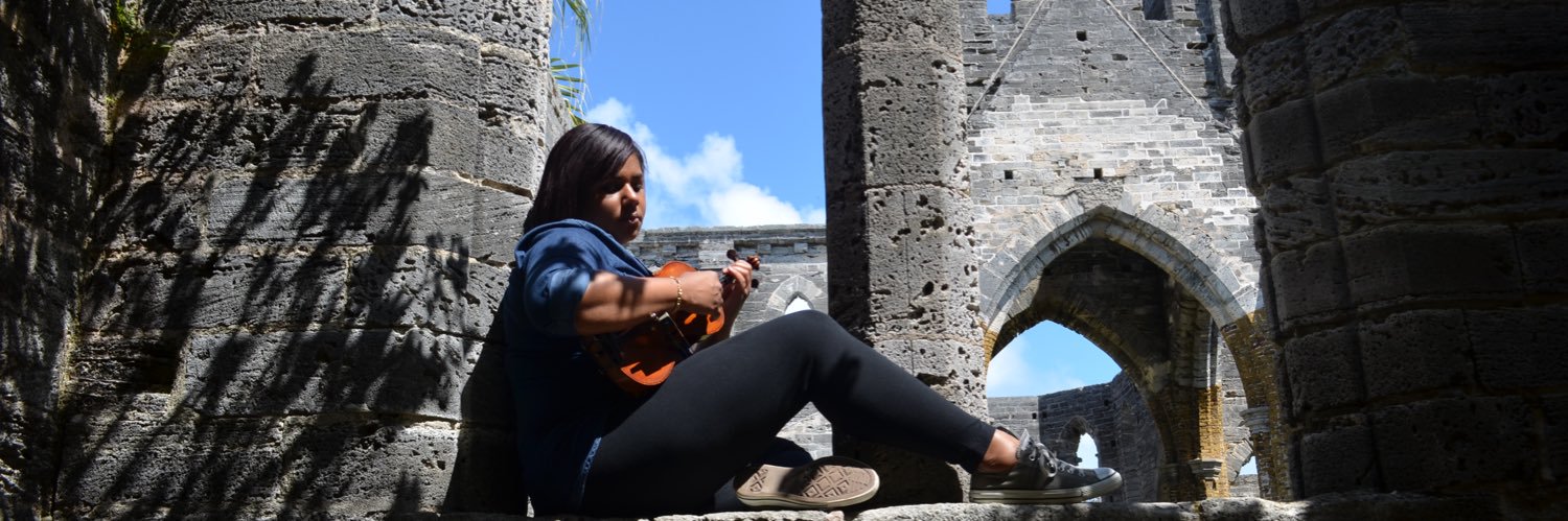 mstiffviolin's profile banner image