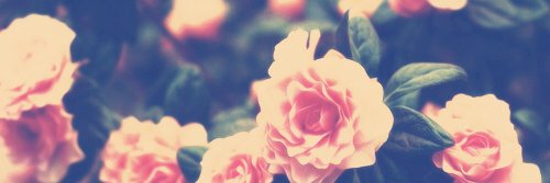 beccjules's profile banner image