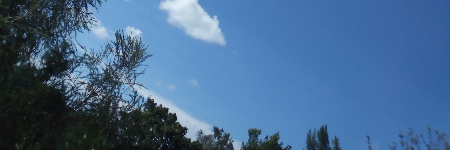 SoldNorther's profile banner image