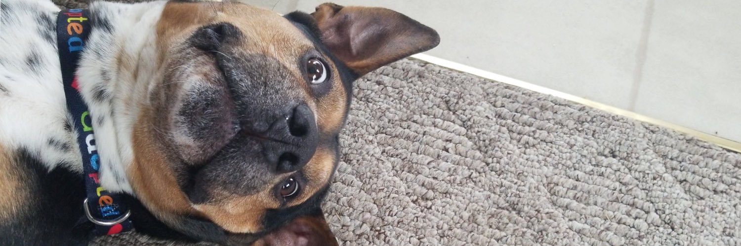 Jake Watterson banner