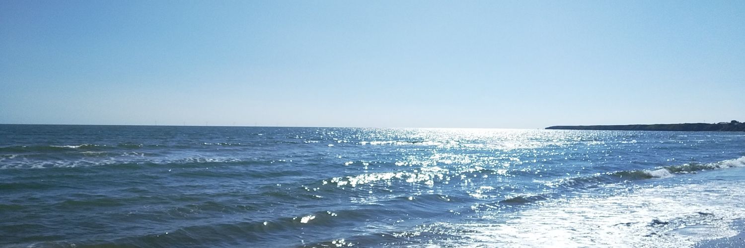 AnLachaBhacach banner