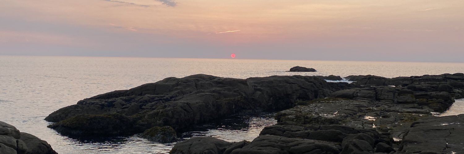 Camille Bronchart banner