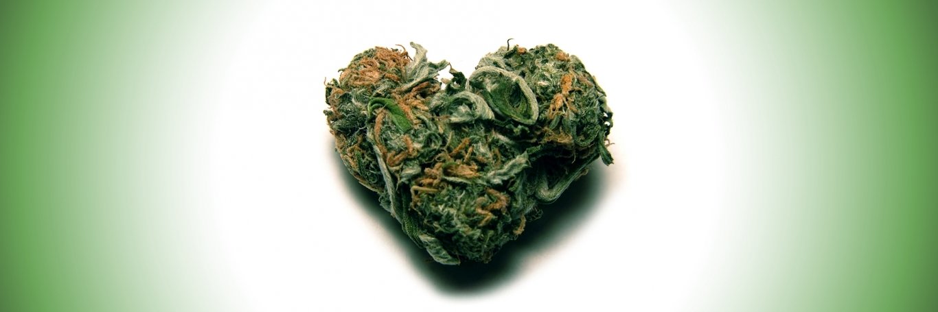 PAN4Compassion's profile banner image