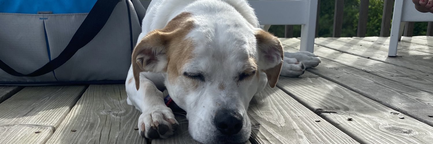 HedrickLizzie's profile banner image